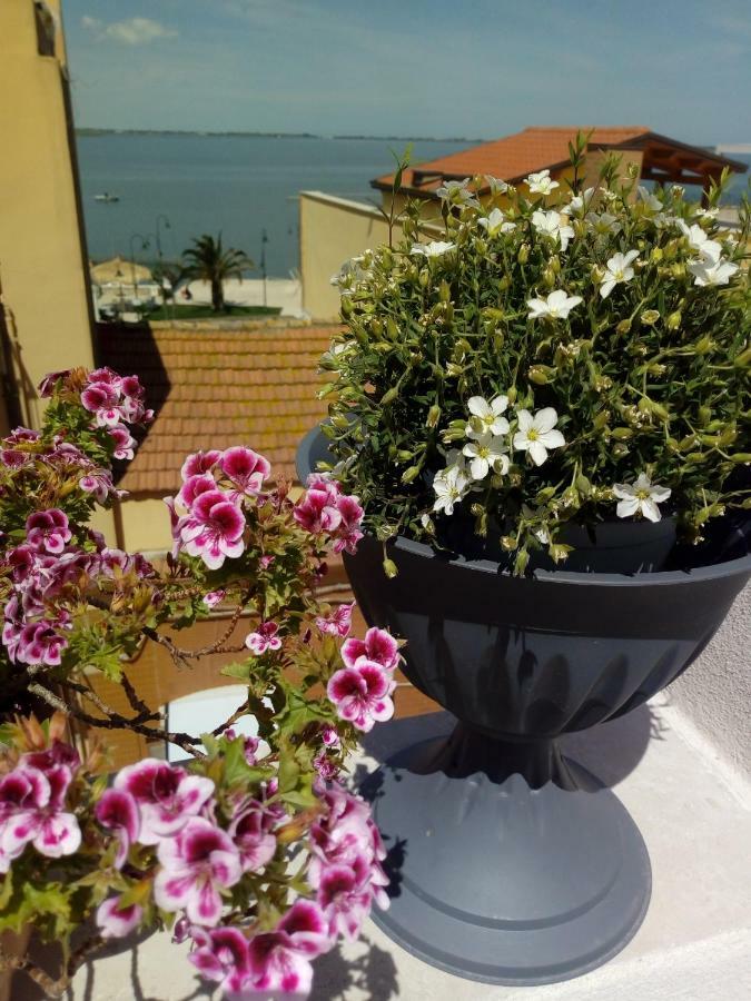 B&B La Felicita Lesina Exterior photo